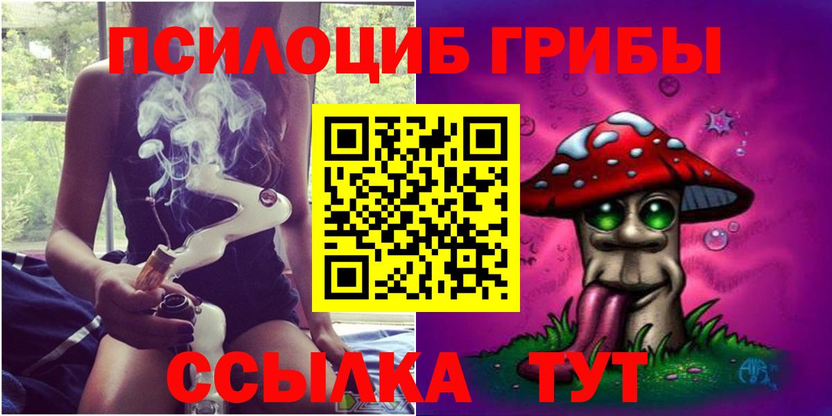 даркнет сайт  Вход с VPN  Камышин  Галлюциногенные грибы прущие грибы 