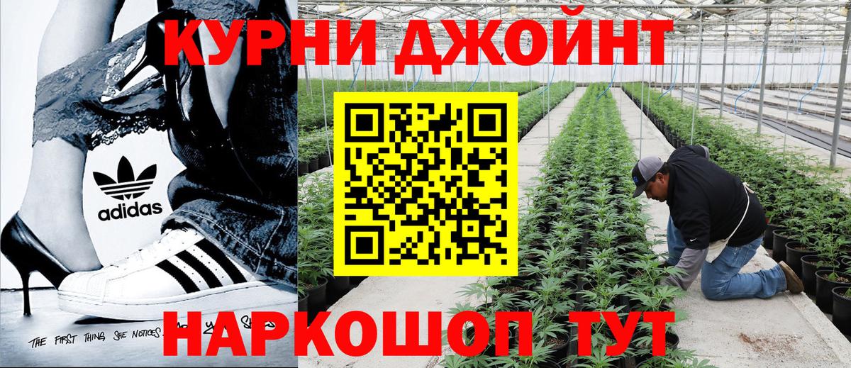 Бошки марихуана AK-47  Вход с VPN  МАРИХУАНА тримм  Канабис план  Камышин 