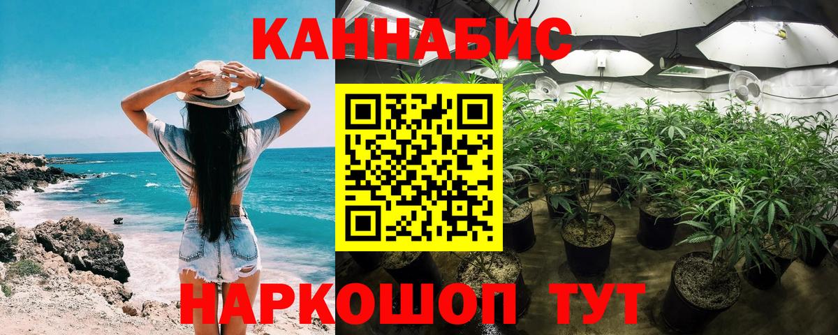Бошки марихуана сатива Камышин